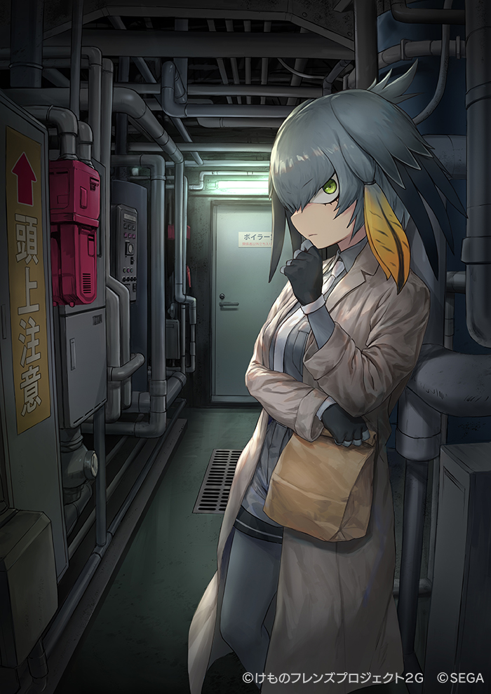 1girl black_gloves black_hair blonde_hair closed_mouth coat commentary_request gloves green_eyes grey_hair grey_legwear grey_shirt grey_shorts guchico head_wings indoors kemono_friends kemono_friends_3 long_sleeves looking_at_viewer multicolored_hair necktie official_art shirt shoebill_(kemono_friends) shorts solo standing white_neckwear