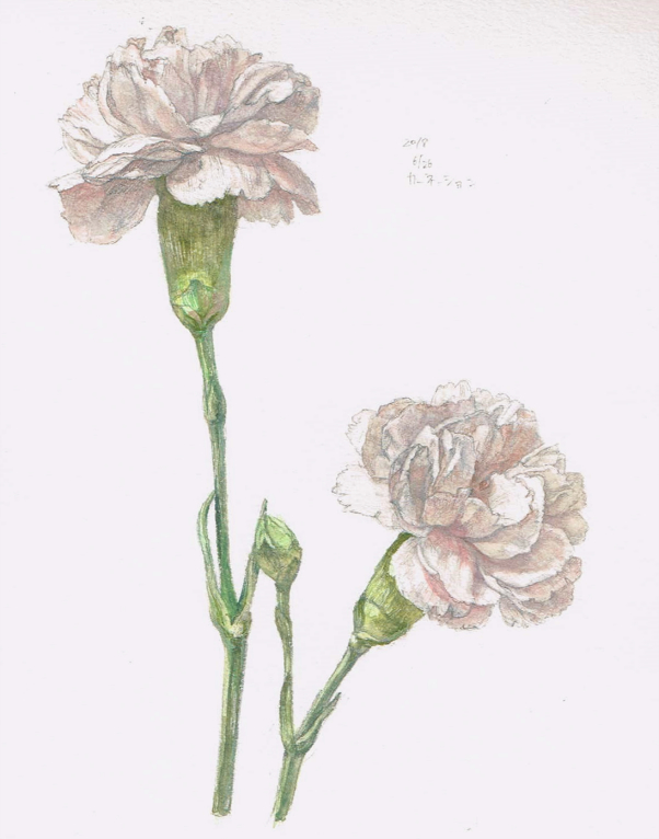 artist_name commentary_request dated flower no_humans original plant signature simple_background still_life tamura_yuki traditional_media watercolor_(medium) white_background white_flower