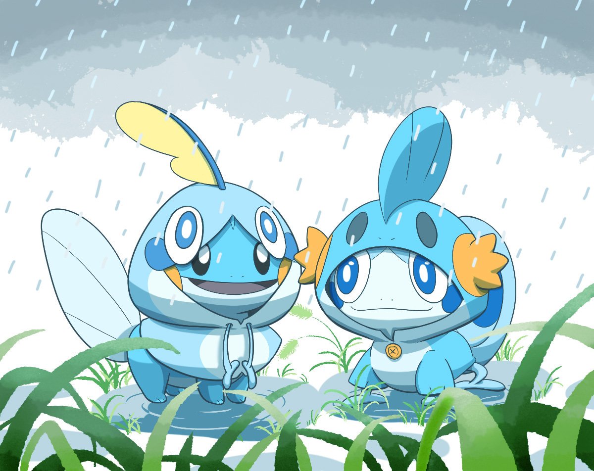 black_eyes blue_eyes closed_mouth clothed_pokemon clouds cosplay full_body gen_3_pokemon gen_8_pokemon grass mudkip mudkip_(cosplay) no_humans open_mouth pokemon pokemon_(creature) puddle rain raincoat smile sobble sobble_(cosplay) veganswampert water