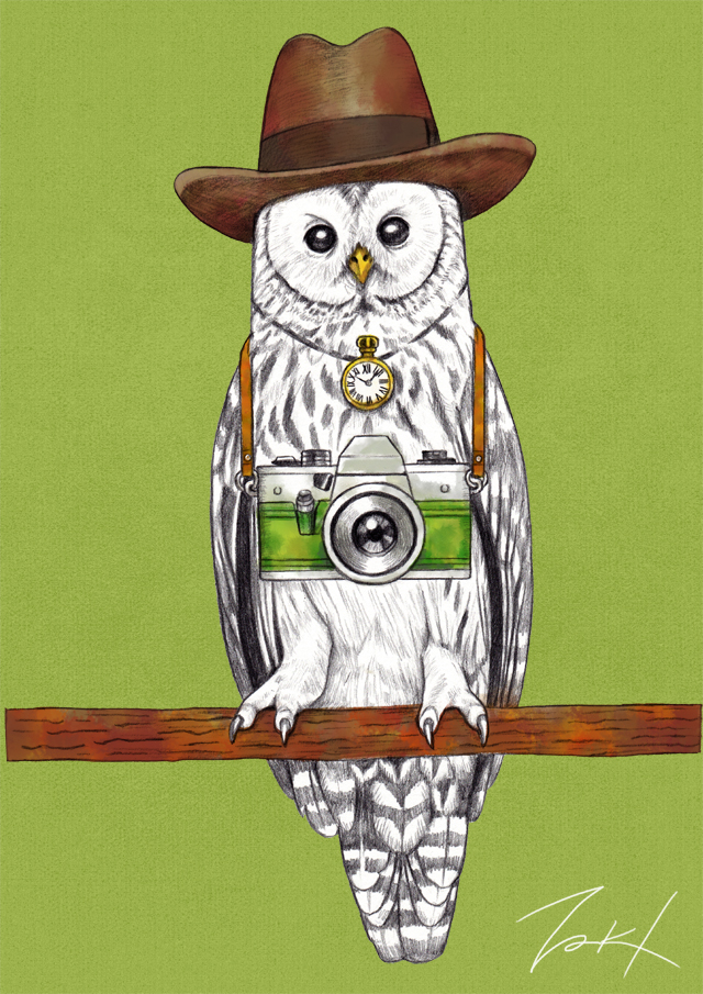 animal bird black_eyes branch brown_headwear camera clock green_background hat jewelry looking_at_viewer necklace no_humans original owl signature simple_background takigraphic