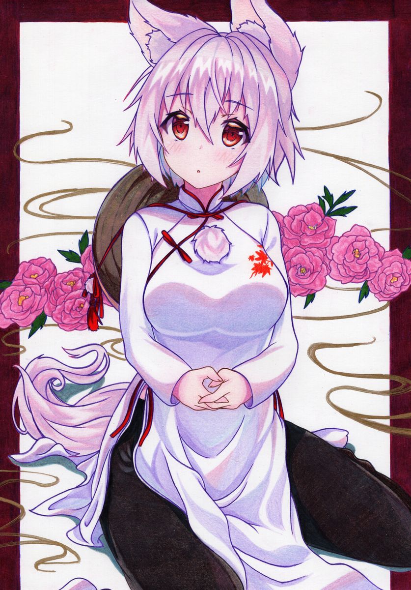 1girl alternate_costume animal_ear_fluff animal_ears bangs black_legwear blush breasts china_dress chinese_clothes commentary_request dress eyebrows_visible_through_hair flower hair_between_eyes highres inubashiri_momiji kittona leaf_print long_sleeves looking_at_viewer medium_breasts no_hat no_headwear outside_border own_hands_together pantyhose pelvic_curtain pink_flower pink_rose pom_pom_(clothes) red_eyes rose short_hair side_slit silver_hair simple_background sitting solo tail touhou traditional_media white_background white_dress wolf_ears wolf_tail