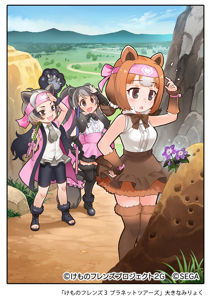 3girls :d animal_ears apron arm_up bangs bare_arms bare_shoulders bear_ears bear_girl bear_paw_hammer bergman's_bear_(kemono_friends) black_bow black_hair black_legwear black_neckwear black_skirt bow bowtie breast_pocket brown_bow brown_eyes brown_legwear brown_neckwear brown_skirt buttons coat collared_shirt company_name copyright day empty_eyes extra_ears eyebrows_visible_through_hair ezo_brown_bear_(kemono_friends) flower frilled_skirt frills fur_trim grey_hair grey_neckwear hand_on_hip headband high-waist_skirt high_collar high_ponytail holding holding_weapon kemono_friends kemono_friends_3 kodiak_bear_(kemono_friends) long_hair looking_at_another medium_hair microskirt miniskirt multicolored_hair multiple_girls necktie official_art open_clothes open_coat open_mouth open_toe_shoes outdoors over_shoulder pink_apron pink_bow pink_coat pocket ponytail shirt shoes short_twintails sidelocks skirt sleeveless sleeveless_shirt smile standing standing_on_one_leg swept_bangs taku_(fishdrive) thigh-highs toes torn_clothes torn_sleeves twintails very_long_hair weapon weapon_over_shoulder white_shirt wing_collar wrist_bow wrist_cuffs zettai_ryouiki