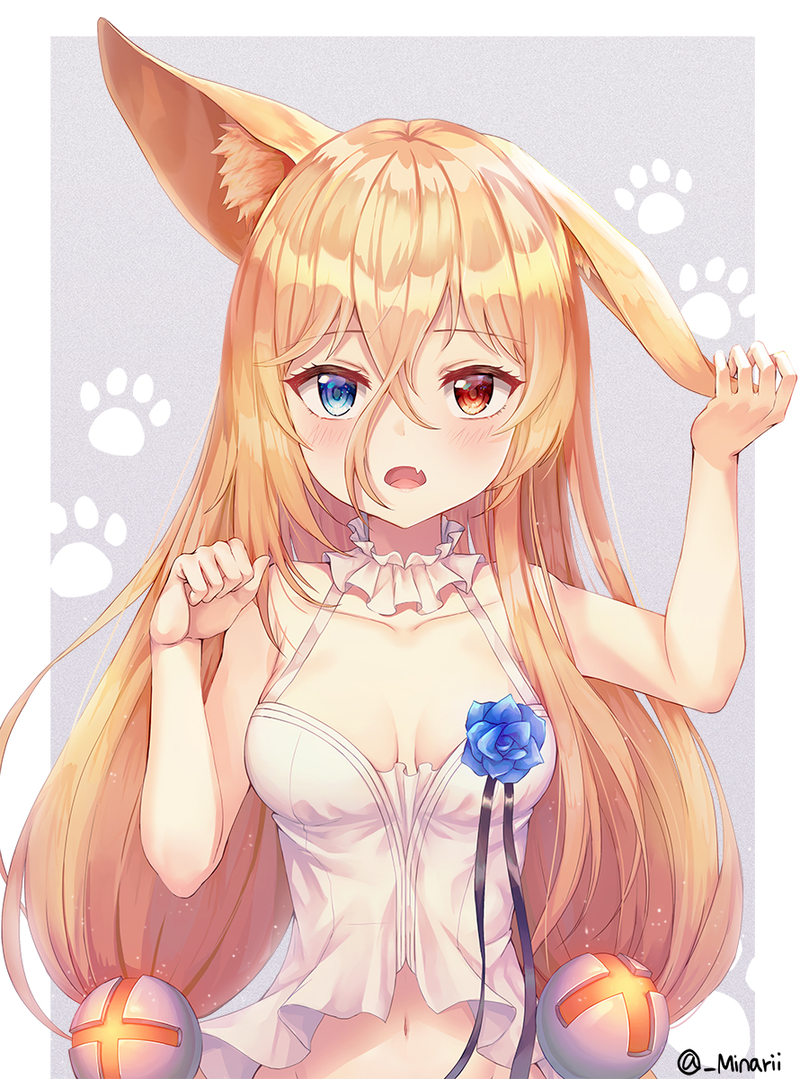 1girl animal_ears bare_arms bare_shoulders blonde_hair blue_eyes blue_flower breasts collarbone detached_collar fang flower g41_(girls_frontline) girls_frontline hair_between_eyes hair_ornament hands_up heterochromia highres holding_ears long_hair looking_at_viewer medium_breasts minari_i navel open_mouth red_eyes rose shirt sleeveless sleeveless_shirt solo twitter_username upper_body white_shirt