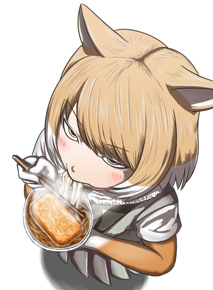 1girl aburaage animal_ears bangs bodystocking bowl chopsticks commentary_request donbee_(food) eating eyebrows_visible_through_hair food fox_ears from_above fur_collar grey_skirt grey_vest hands_up holding holding_chopsticks jitome kemono_friends light_brown_hair mafty medium_hair multicolored_hair pleated_skirt short_sleeves simple_background skirt solo standing steam swept_bangs tibetan_sand_fox_(kemono_friends) two-tone_hair vest white_background white_hair yellow_eyes
