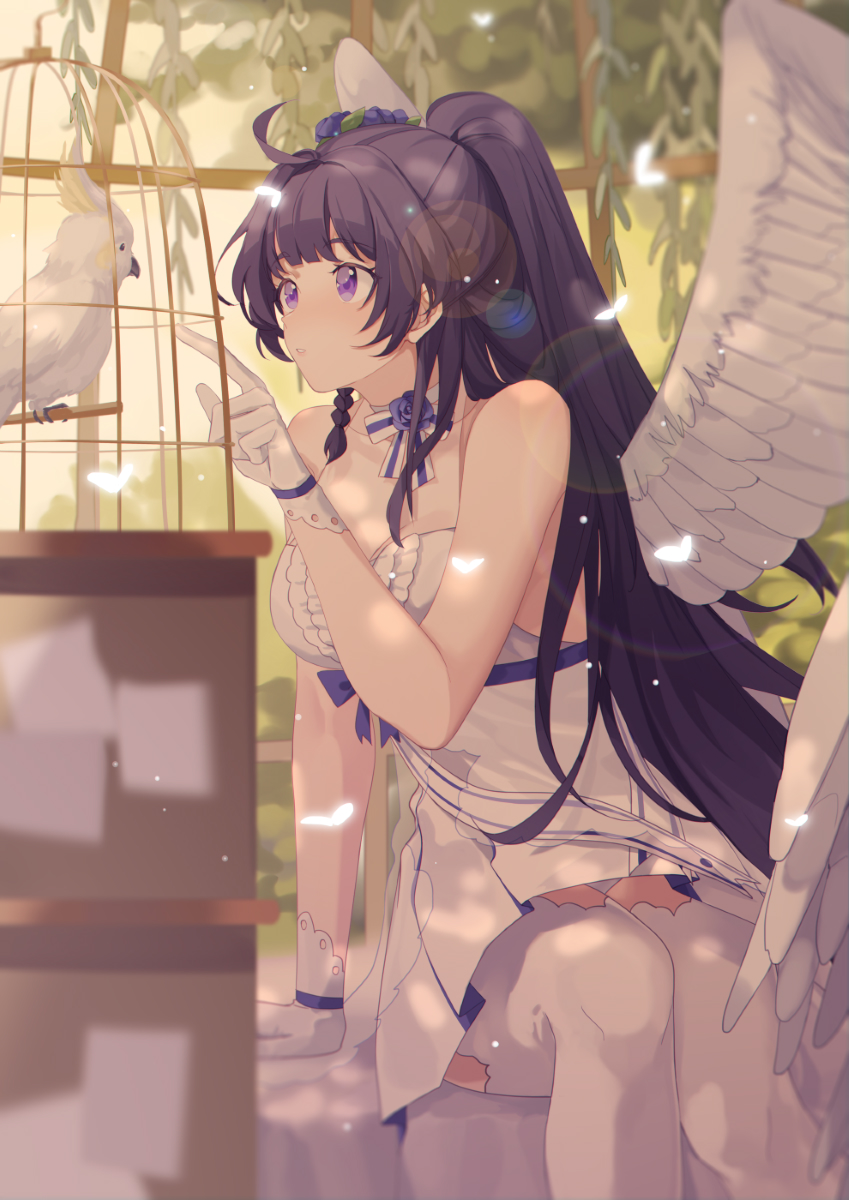 1girl ahoge arm_support bangs bare_shoulders bird birdcage blue_flower blue_rose breasts bug butterfly cage choker cockatoo cowboy_shot dress eyebrows_visible_through_hair feathered_wings flower gloves hair_flower hair_intakes hair_ornament highres honkai_(series) honkai_impact_3rd insect large_breasts lens_flare light_particles long_hair looking_at_another parted_lips plant pointing ponytail purple_hair purple_ribbon raiden_mei ribbon rose sidelocks sitting sleeveless sleeveless_dress solo sulphur-crested_cockatoo thigh-highs very_long_hair violet_eyes werlosk white_choker white_dress white_gloves white_legwear wings