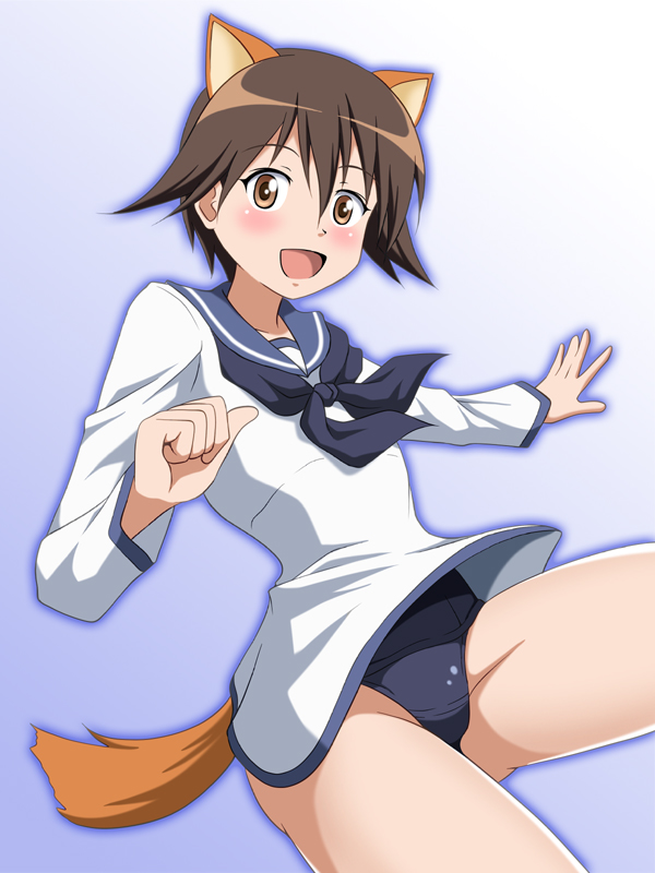 1girl animal_ears blue_background blush brown_eyes brown_hair dog_ears dog_tail dress eyebrows_visible_through_hair gradient gradient_background groin hiro_yoshinaka miyafuji_yoshika open_mouth sailor_dress shiny shiny_hair shiny_skin short_hair simple_background smile solo strike_witches swimsuit swimwear tail tongue world_witches_series