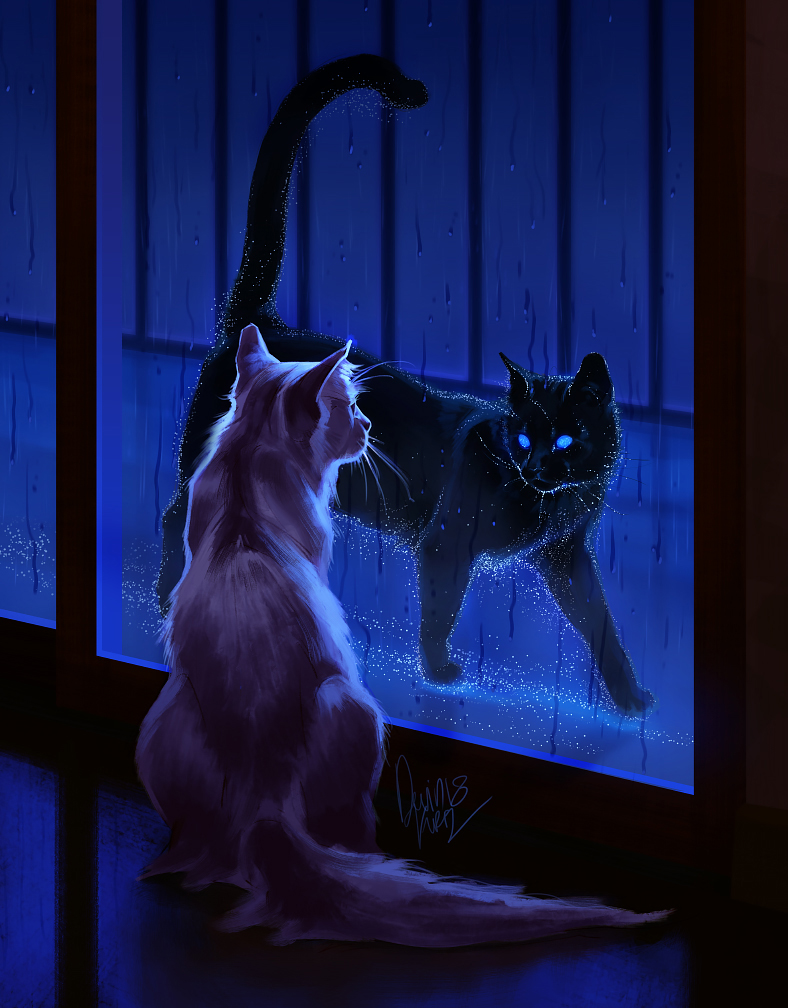 2018 animal black_cat blue_eyes cat cat_focus commentary dark devin_elle_kurtz door english_commentary eye_contact full_body glass glass_door looking_at_another looking_to_the_side no_humans original rain realistic signature standing walking water wet