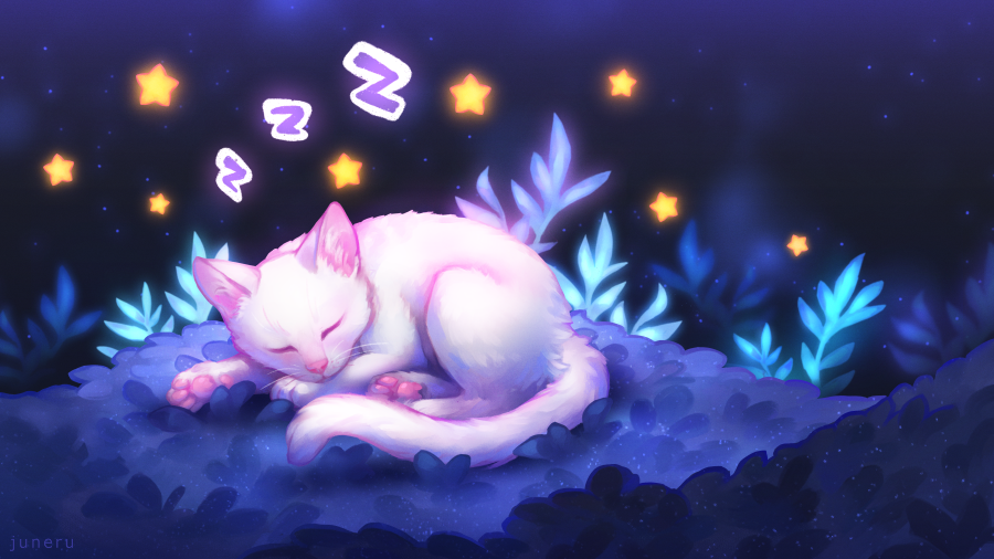 cat cat_focus commentary english_commentary full_body grass juneru lying night night_sky no_humans on_stomach onomatopoeia original outdoors plant signature sky sleeping solo star star_(sky) starry_sky white_cat zzz