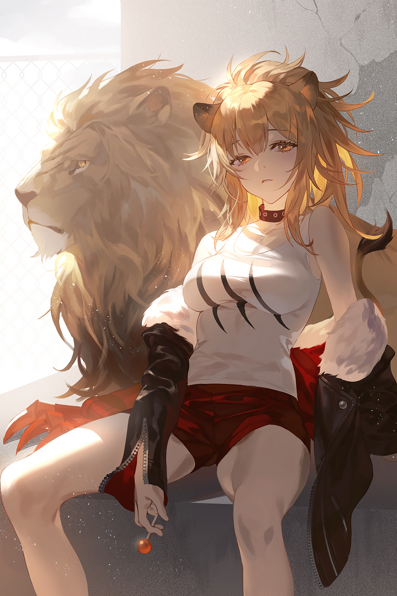 1girl animal animal_ears arknights bangs blonde_hair breasts candy collar fajyobore323 food fur_trim highres jacket lion lion_ears lollipop long_hair looking_at_viewer off_shoulder parted_lips ponytail shorts siege_(arknights) sitting solo tank_top yellow_eyes