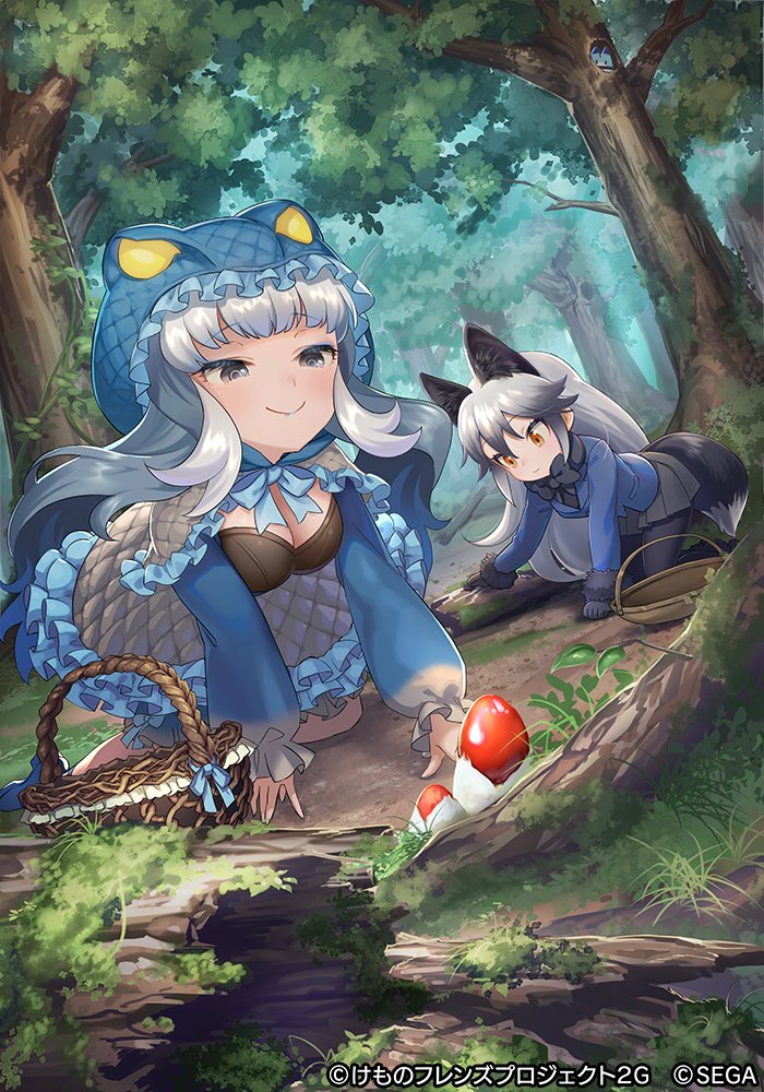 2girls all_fours animal_ear_fluff animal_ears bangs basket black_gloves black_legwear black_neckwear blue_jacket bow bowtie breasts commentary_request ctake02 day eyebrows_visible_through_hair forest fox_ears fox_girl fox_tail frilled_hood frilled_skirt frills fur-trimmed_sleeves fur_trim gloves grass grey_eyes grey_skirt hood hood_up jacket kemono_friends kemono_friends_3 komodo_dragon_(kemono_friends) log long_hair long_sleeves medium_breasts moss multiple_girls mushroom nature official_art orange_eyes outdoors pantyhose pleated_skirt puffy_long_sleeves puffy_sleeves silver_fox_(kemono_friends) silver_hair skirt smile tail tree very_long_hair