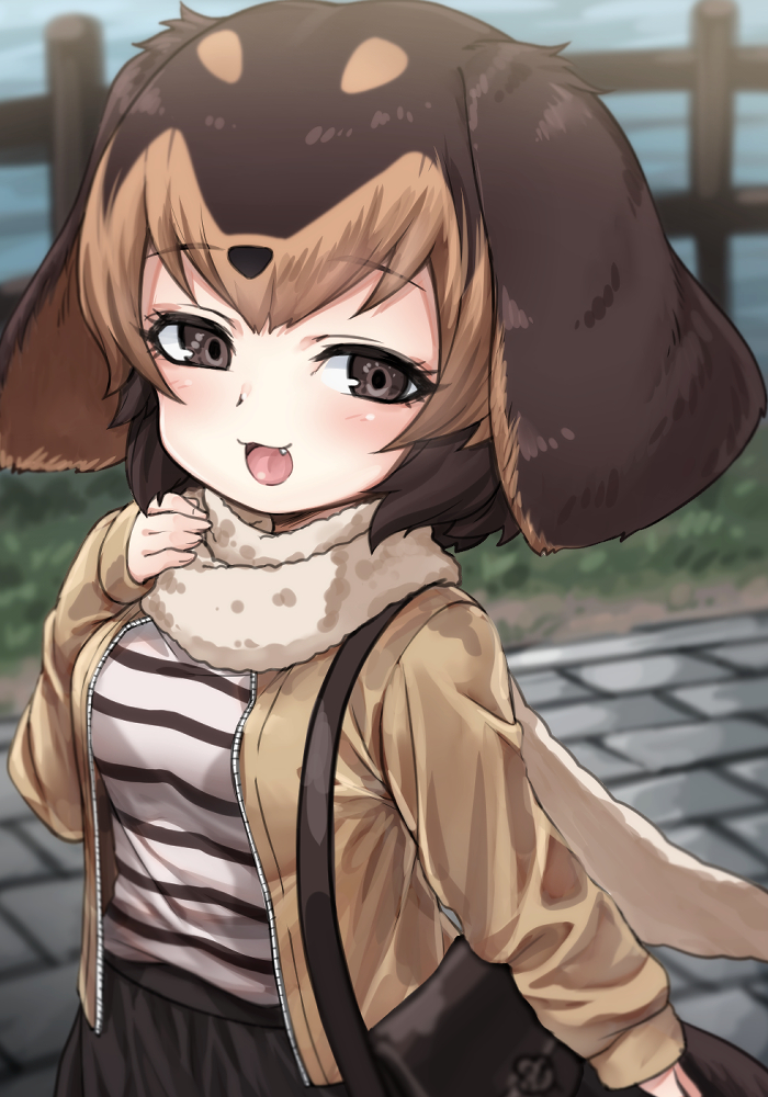 1girl :3 alternate_costume bag blush brown_eyes brown_hair brown_skirt casual dachshund_(kemono_friends)_(nyifu) eyebrows_visible_through_hair fang fur_scarf hair_between_eyes hand_on_own_chest handbag jacket kemono_friends light_brown_hair long_sleeves looking_at_viewer multicolored_hair nyifu open_clothes open_jacket open_mouth original scarf shirt short_hair skirt smug solo striped striped_shirt two-tone_hair two-tone_shirt white_shirt