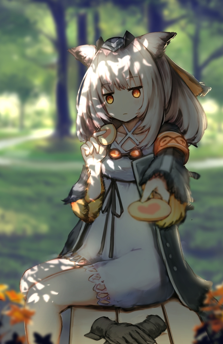 1girl arknights armband bench black_coat black_gloves blurry blurry_background blush breasts closed_mouth coat commentary cookie depth_of_field dress english_commentary expressionless eyebrows_visible_through_hair feather-trimmed_sleeves flower food gloves gloves_removed goggles goggles_around_neck greypidjun hair_ribbon heart heart_print infinity looking_at_viewer medium_hair offering open_clothes open_coat orange_eyes owl_ears park park_bench path pov ptilopsis_(arknights) reaching_out ribbon short_dress silver_hair sitting small_breasts solo thighs tree white_dress