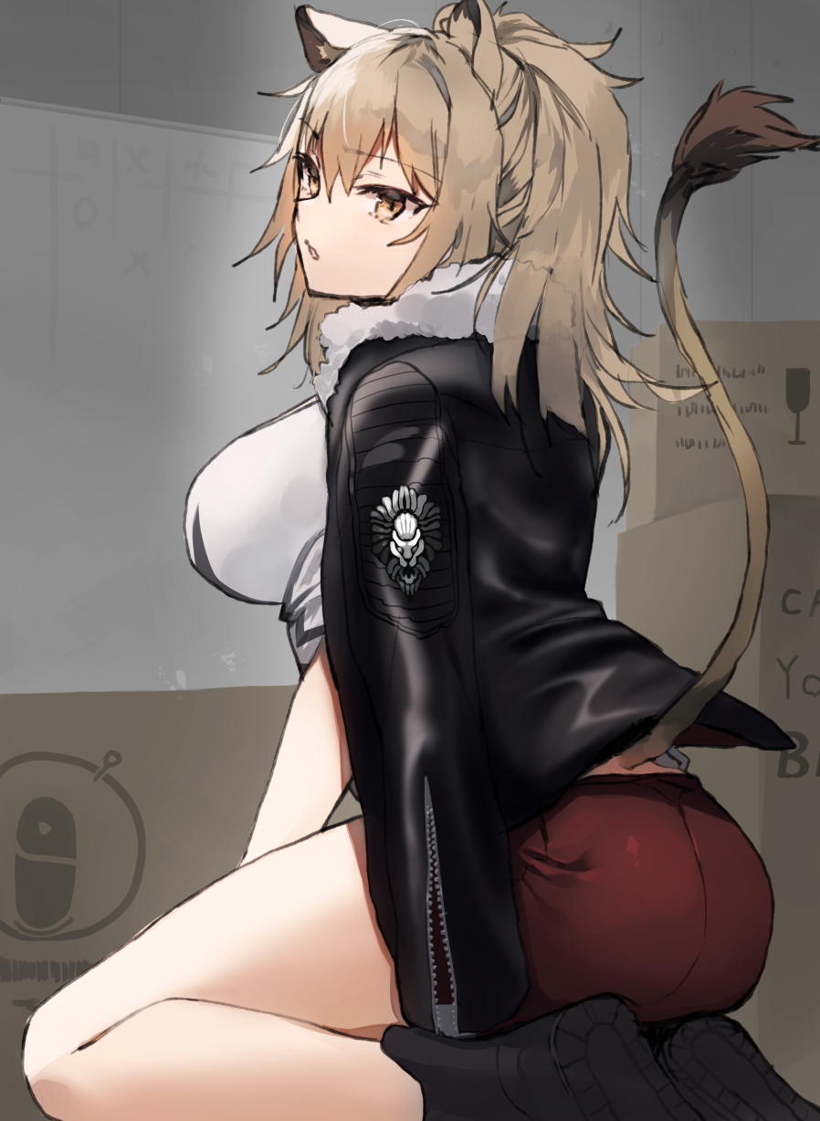 1girl animal_ear_fluff animal_ears ankle_boots arknights ass bangs black_footwear black_jacket boots box breasts brown_eyes brown_hair cardboard_box commentary_request eyebrows_visible_through_hair fur-trimmed_jacket fur_trim hair_between_eyes head_tilt highres indoors jacket kasuka_(kusuki) large_breasts lion_ears lion_tail long_hair long_sleeves looking_at_viewer open_clothes open_jacket parted_lips partial_commentary red_shorts seiza shirt short_shorts shorts siege_(arknights) sitting solo tail thighs white_shirt