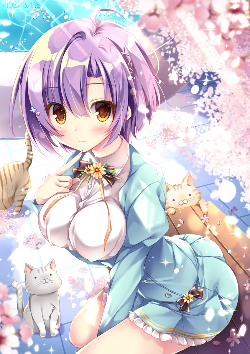 1girl ahoge animal bangs bare_legs bench blue_dress blush breasts cat cherry_blossoms collared_shirt commentary_request dress eyebrows_visible_through_hair finger_to_chin hair_between_eyes hair_ornament highres impossible_clothes long_sleeves looking_at_viewer medium_breasts nanaroba_hana original outdoors petals purple_hair shirt short_hair sidelocks sitting solo white_shirt yellow_eyes