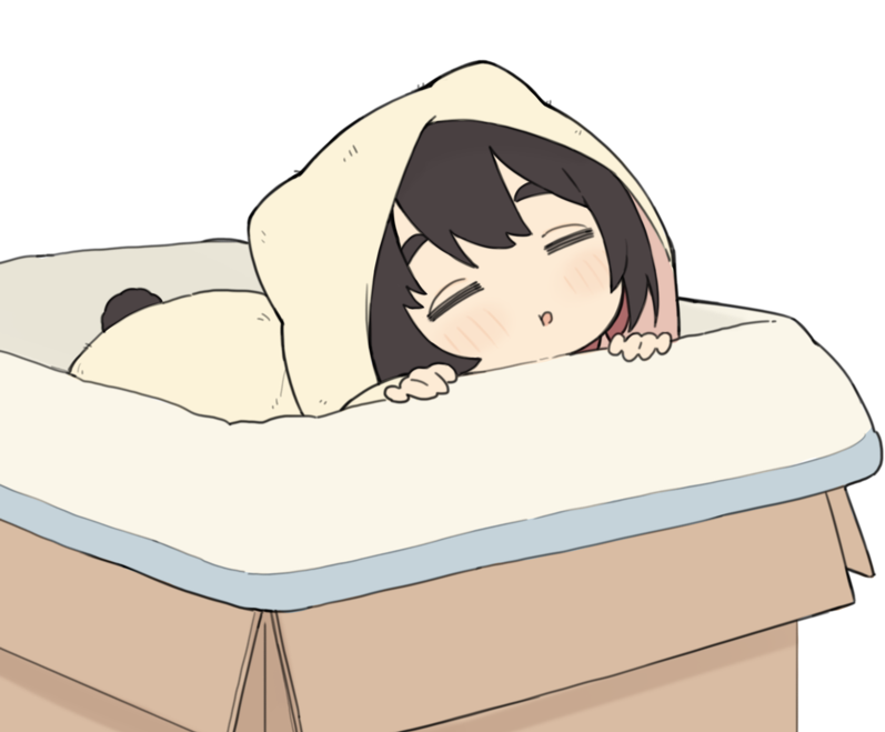 1girl =_= animal_ears bangs black_hair blush box cardboard_box closed_eyes commentary_request eyebrows_behind_hair facing_viewer in_box in_container original parted_lips seramikku simple_background sleeping solo tail thick_eyebrows white_background