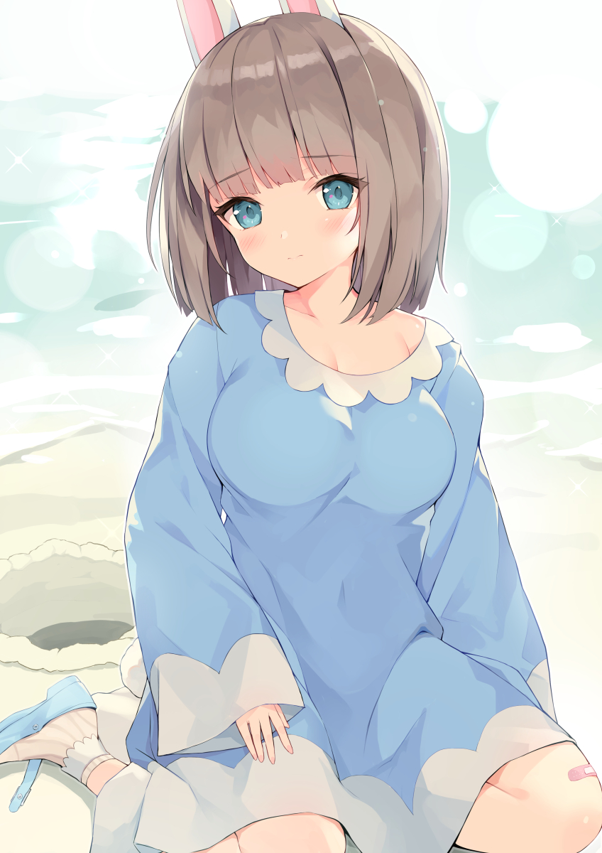 1girl animal_ears ankle_socks bandaid bandaid_on_knee bangs beach blue_dress blue_eyes blue_footwear blush breasts brown_hair brown_legwear character_request closed_mouth commentary_request doubutsu_no_mori dress eyebrows_visible_through_hair gedou_(shigure_seishin) highres long_hair long_sleeves looking_at_viewer medium_breasts rabbit_ears sand shoes sitting sleeves_past_wrists solo striped striped_legwear vertical-striped_legwear vertical_stripes water wide_sleeves yokozuwari