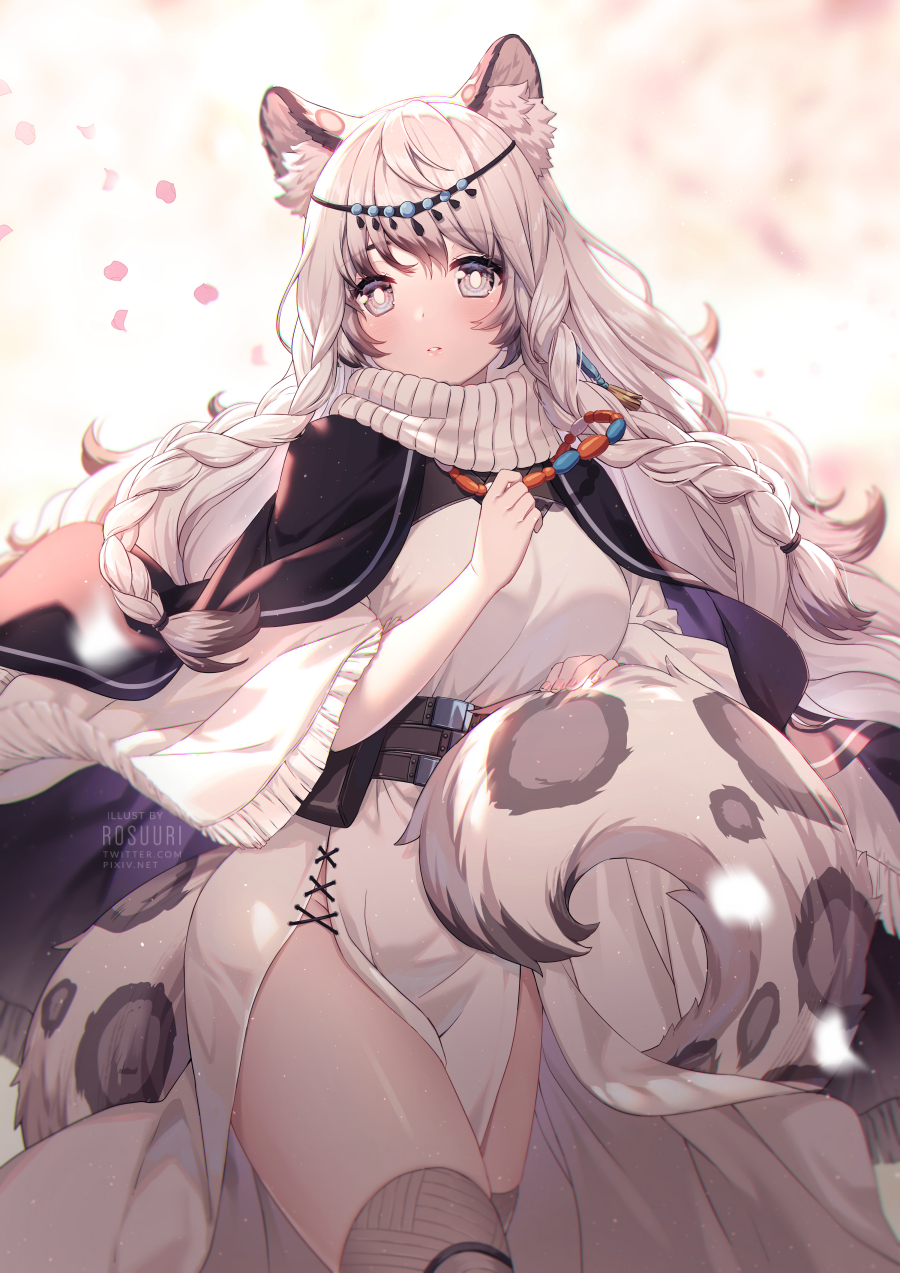 1girl animal_ear_fluff animal_ears arknights artist_name bangs bead_necklace beads belt black_belt black_cape blush braid breasts cape commentary cowboy_shot dress eyebrows_visible_through_hair grey_eyes grey_legwear hand_up head_chain highres jewelry leopard_ears leopard_tail long_hair looking_at_viewer medium_breasts necklace parted_lips pelvic_curtain petals pramanix_(arknights) rosuuri silver_hair solo standing tail thigh-highs thighs turtleneck_dress twin_braids watermark web_address white_dress zettai_ryouiki