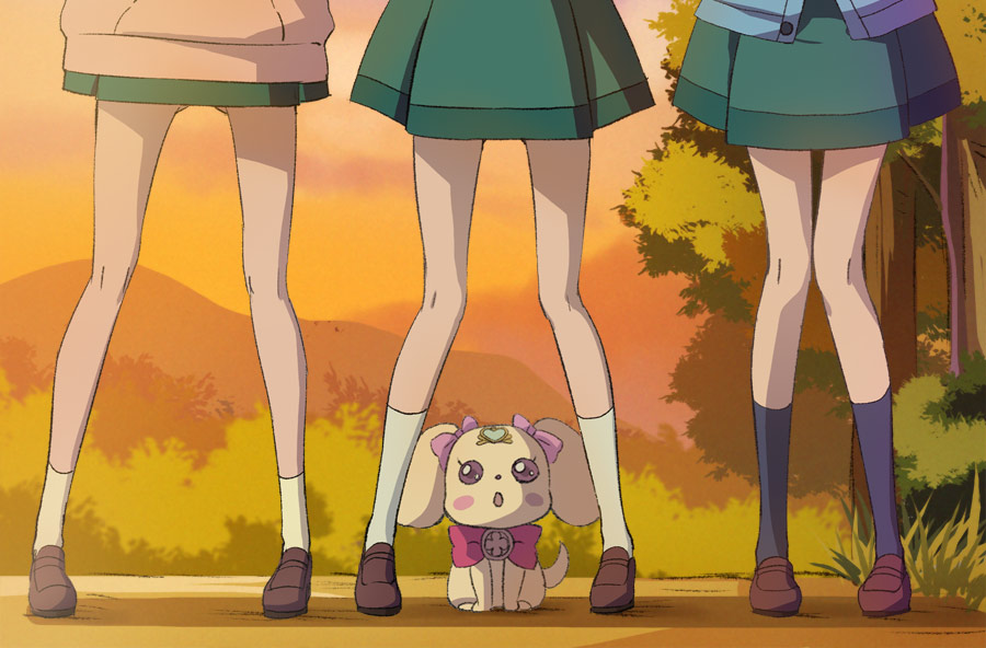 3girls brown_footwear green_skirt hanadera_nodoka haruyama_kazunori head_out_of_frame healin'_good_precure hiramitsu_hinata latte_(precure) legs multiple_girls outdoors precure sawaizumi_chiyu shoes skirt socks standing sunset