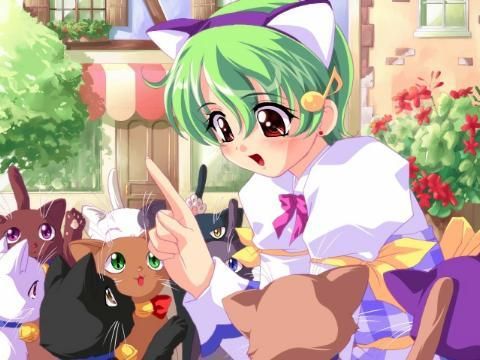 cat cat_ears class fake_animal_ears green_hair headband lowres musical_note musical_notes short_hair teacher too_many_cats
