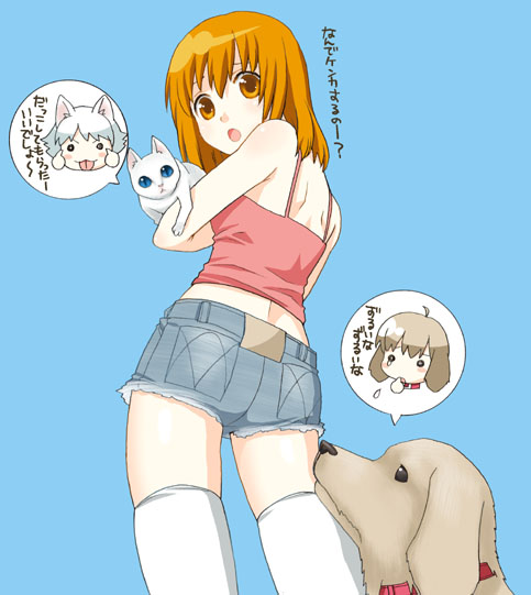 cat collar denim denim_shorts dog kneehighs mattaku_mosuke orange_eyes orange_hair original shorts socks thighhighs translation_request