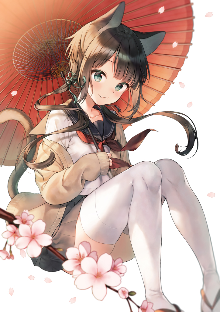 1girl animal_ears bangs black_hair black_sailor_collar black_skirt blush brown_cardigan cardigan cat_ears cat_girl cat_tail cherry_blossoms closed_mouth collarbone commentary eyebrows_visible_through_hair fang fang_out feet_out_of_frame flower green_eyes holding holding_umbrella long_hair long_sleeves looking_at_viewer midorikawa_you neckerchief open_cardigan open_clothes oriental_umbrella original petals pink_flower pleated_skirt red_neckwear red_umbrella sailor_collar school_uniform serafuku shirt simple_background sitting skirt sleeves_past_wrists smile solo symbol_commentary tail thigh-highs tree_branch twintails umbrella very_long_hair white_background white_legwear white_shirt