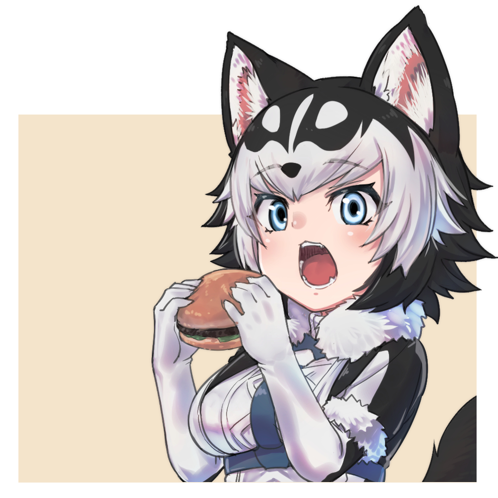 1girl animal_ears black_gloves black_hair black_jacket blue_eyes blush character_request commentary_request dog_ears dog_girl dog_tail eating elbow_gloves eyebrows_visible_through_hair fangs food fur_collar fur_trim gloves hamburger harness jacket kemono_friends multicolored multicolored_clothes multicolored_gloves multicolored_hair multicolored_jacket nyifu open_mouth original short_hair short_sleeves solo tail two-tone_gloves two-tone_hair two-tone_jacket upper_body white_gloves white_hair white_jacket