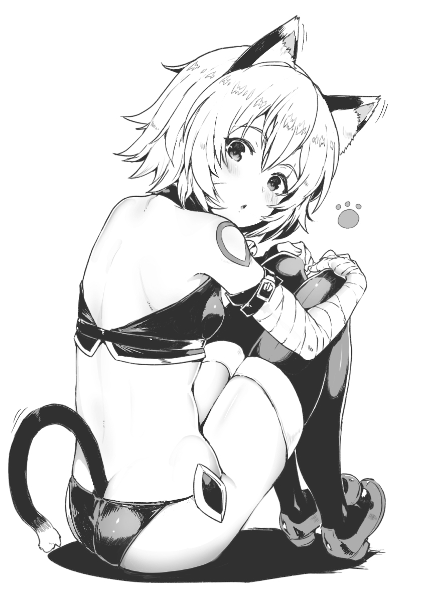 1girl animal_ears arm_belt back bandaged_arm bandages bangs bare_shoulders blush breasts cat_ears cat_tail crop_top facial_scar fate/apocrypha fate_(series) fingerless_gloves gloves greyscale hair_between_eyes highres jack_the_ripper_(fate/apocrypha) knees_up looking_at_viewer looking_back lowleg lowleg_panties monochrome open_mouth panties paw_print scar scar_across_eye scar_on_cheek short_hair shoulder_tattoo simple_background single_glove sitting small_breasts sumisu_(mondo) tail tattoo thigh-highs underwear white_background