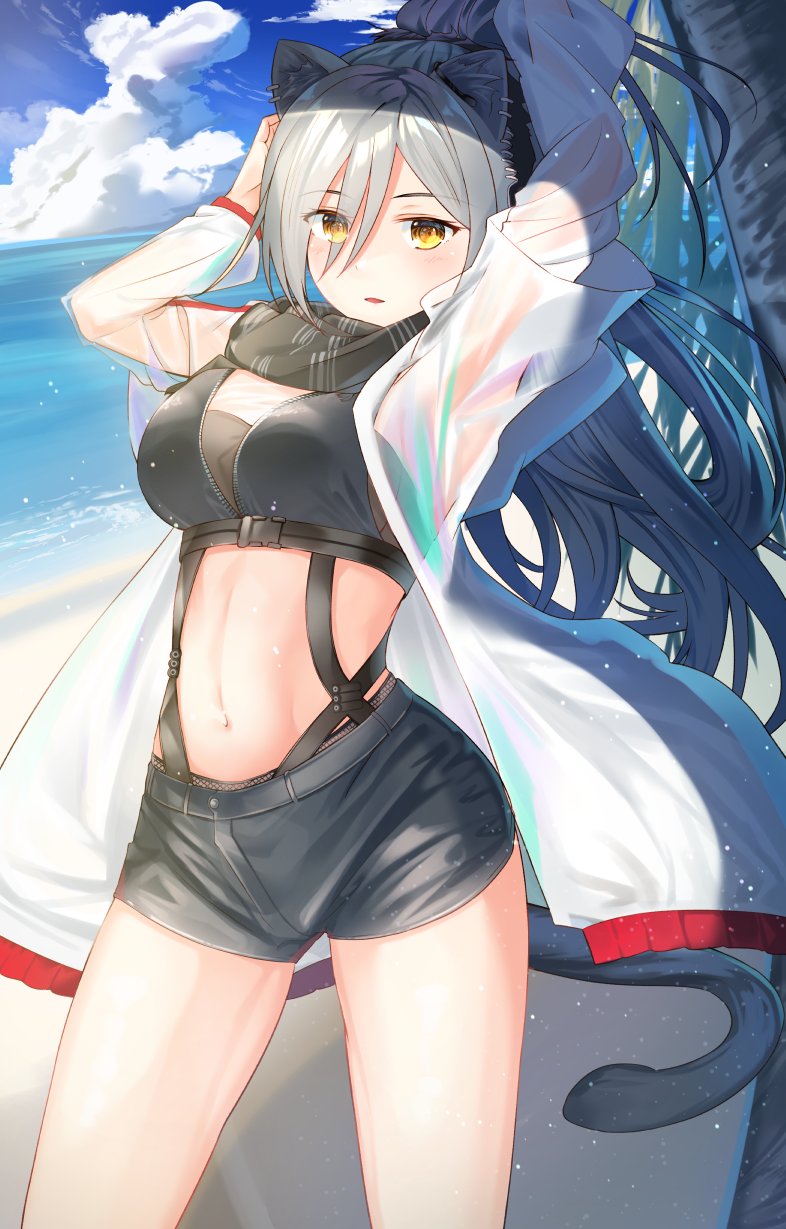1girl animal_ears arknights arms_up bangs black_scarf black_shorts blue_sky blush breasts cat_ears cat_tail clouds commentary_request cowboy_shot crop_top day eyebrows_visible_through_hair hair_between_eyes highres iroe_yuu jacket long_hair long_sleeves looking_at_viewer medium_breasts midriff navel open_clothes open_jacket outdoors parted_lips scarf schwarz_(arknights) short_shorts shorts silver_hair sky solo standing stomach tail water white_jacket yellow_eyes
