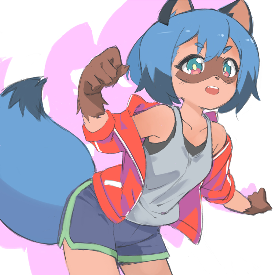 1girl animal_ears arm_up black_bra blue_eyes blue_hair blue_shorts bra brand_new_animal clenched_hands furry garun_wattanawessako jacket kagemori_michiru leaning_forward off_shoulder open_mouth raccoon_ears raccoon_tail red_jacket short_hair short_shorts shorts solo tail tank_top track_jacket underwear white_tank_top