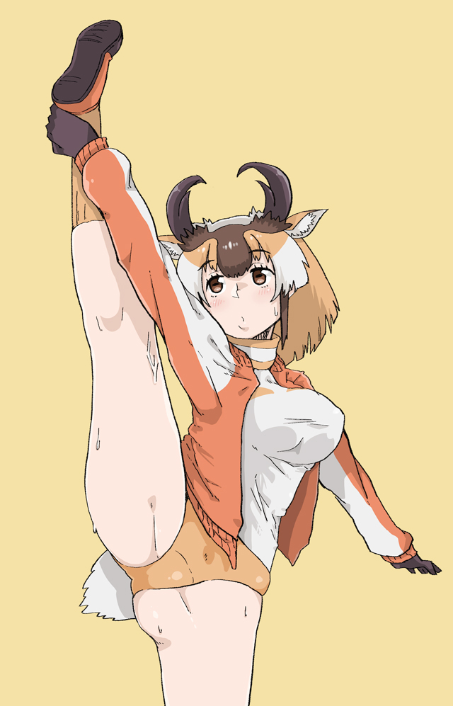 animal_ears bangs breasts brown_eyes brown_hair buruma cardigan cowboy_shot extra_ears eyebrows_visible_through_hair grey_hair horizontal_pupils horns kemono_friends leg_up light_brown_hair long_sleeves looking_up medium_breasts medium_hair multicolored_hair myanmar_(tenrai_ha) open_cardigan open_clothes outstretched_arms outstretched_leg parted_lips pronghorn_(kemono_friends) shirt shoe_soles shoes simple_background split sportswear spread_legs standing standing_on_one_leg standing_split stretch sweat tail yellow_background