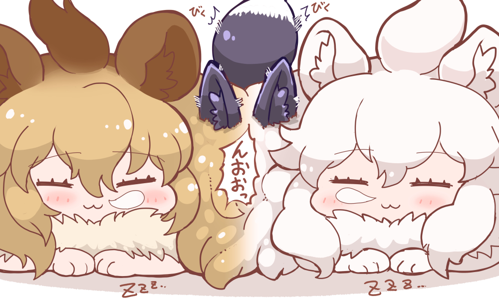 /\/\/\ 3girls :3 animal_ear_fluff animal_ears bangs big_hair brown_hair chibi closed_eyes closed_mouth commentary_request eyebrows_visible_through_hair facing_viewer fox_ears fox_tail fur_collar hair_between_eyes kemono_friends light_brown_hair lion_(kemono_friends) lion_ears lying multicolored_hair multiple_girls nose_bubble on_stomach side-by-side silver_fox_(kemono_friends) sleeping tail tanaka_kusao translation_request trembling two-tone_hair white_hair white_lion_(kemono_friends) zzz |3