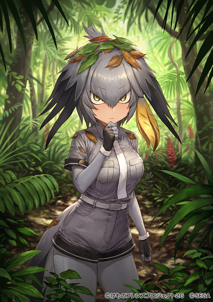 1girl bird_tail bird_wings black_gloves black_hair blonde_hair collared_shirt commentary_request cowboy_shot elbow_gloves epaulettes eyebrows_visible_through_hair fingerless_gloves forest gloves green_eyes grey_gloves grey_hair grey_legwear grey_shirt grey_shorts guchico hair_tie head_wings kemono_friends kemono_friends_3 leaf multicolored_hair nature necktie official_art pantyhose shirt shoebill_(kemono_friends) short_hair shorts solo t-shirt translation_request tree uniform white_neckwear wings