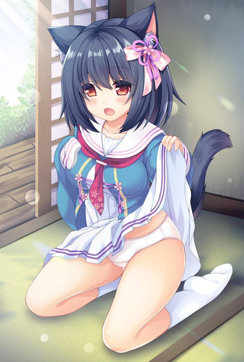 1girl animal_ear_fluff animal_ears bangs black_hair blue_shirt blush bow cat_ears cat_girl cat_tail commentary_request dress dress_lift eyebrows_visible_through_hair full_body hair_between_eyes hair_bow hand_up highres indoors lifted_by_self long_hair long_sleeves looking_at_viewer nekotsuku_sakura no_shoes on_floor open_mouth pink_bow pink_neckwear pleated_dress red_eyes sailor_collar sakuraba_hikaru_(loveindog) shirt sleeves_past_fingers sleeves_past_wrists socks solo sunlight tail tail_raised tatami tsuki_(nekotsuku_sakura) white_dress white_legwear white_sailor_collar