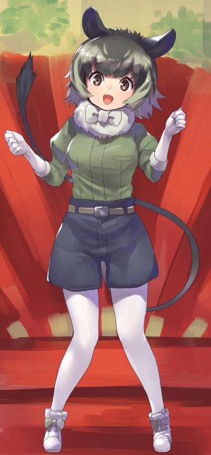 1girl :d animal_ears bangs belt black_eyes black_shorts boot_bow boots bow bow_footwear bowtie degu_(kemono_friends) eyebrows_visible_through_hair full_body fur_collar gloves green_hair green_shirt hands_up juliet_sleeves kemono_friends legwear_under_shorts long_sleeves looking_at_viewer open_mouth pantyhose puffy_sleeves shirt short_hair shorts smile solo standing tadano_magu tail white_bow white_footwear white_gloves white_hair white_legwear white_neckwear