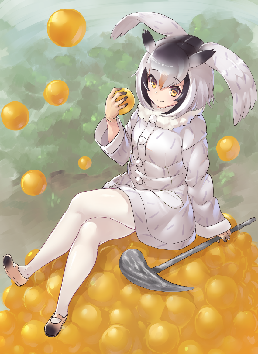 1girl bangs black_hair brown_footwear coat crossed_legs full_body fur_collar gloves hair_between_eyes head_wings holding kemono_friends long_sleeves multicolored_hair northern_white-faced_owl_(kemono_friends) pantyhose pile shoes short_hair sitting smile solo tadano_magu white_coat white_hair white_legwear yellow_eyes