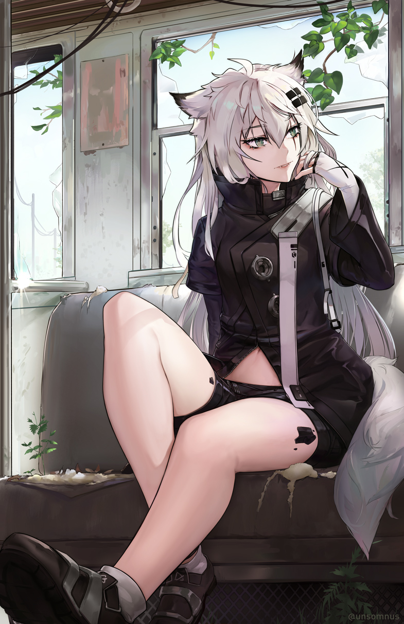 1girl animal_ears arknights bangs bare_legs black_footwear black_jacket black_shorts commentary eyebrows_visible_through_hair fingerless_gloves gloves grey_eyes hair_between_eyes hair_ornament hairclip hand_up highres indoors jacket knee_up lappland_(arknights) leaf long_hair long_sleeves looking_to_the_side midriff_peek navel ore_lesion_(arknights) parted_lips scar scar_across_eye shoes short_shorts shorts silver_hair sitting solo tail thighs train_interior unsomnus white_gloves white_hair wide_sleeves window wolf_ears wolf_tail