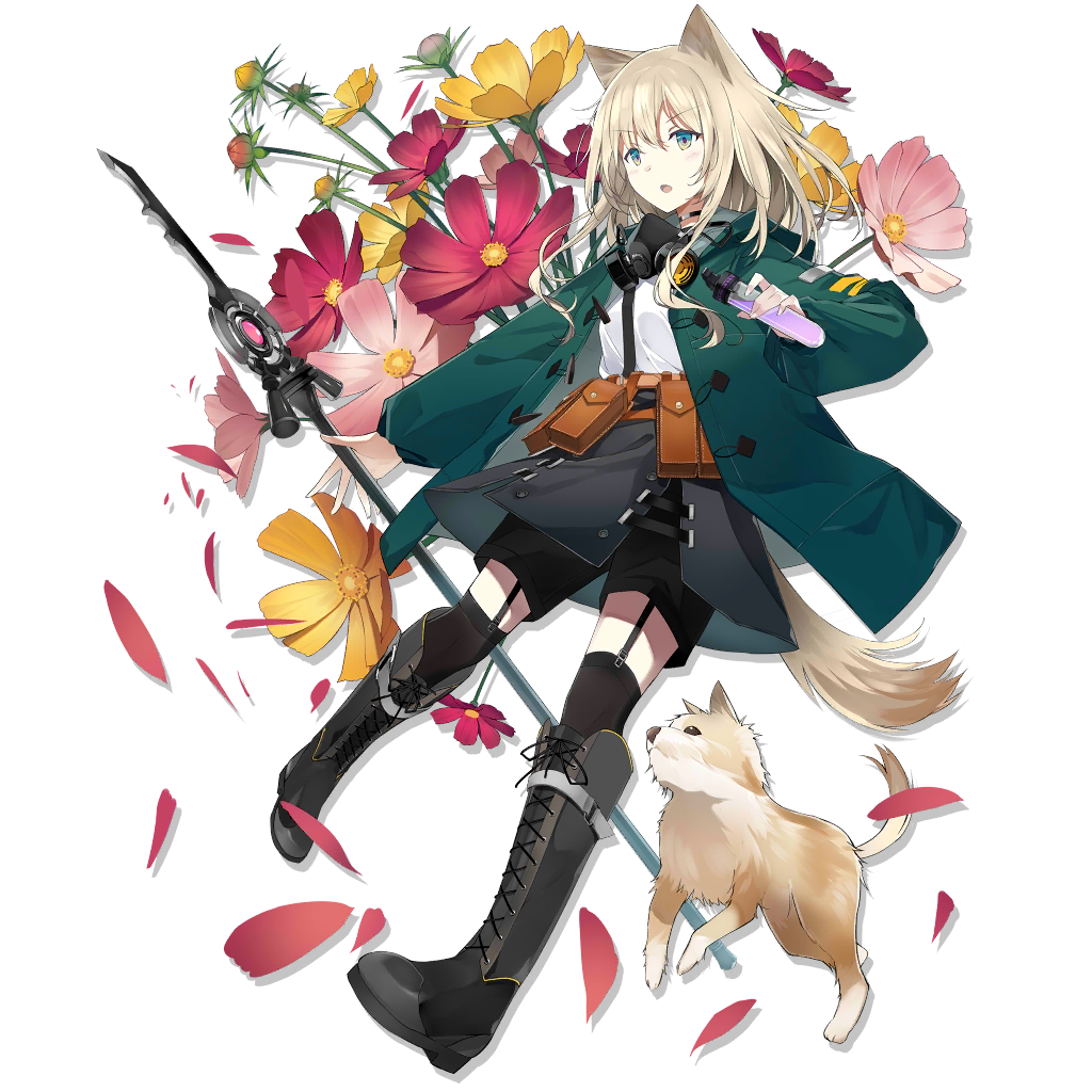 1girl animal_ears arknights bangs black_footwear black_legwear black_shorts black_skirt boots cross-laced_footwear dog dog_ears dog_tail eyebrows_visible_through_hair flower full_body garter_straps gas_mask green_jacket grey_eyes hair_between_eyes holding holding_staff holding_test_tube jacket knee_boots lace-up_boots long_sleeves looking_away mask_around_neck medium_hair official_art open_clothes open_jacket open_mouth petals pink_flower podenco_(arknights) pouch shirt shorts shorts_under_skirt silver_hair skirt staff sutorora tachi-e tail test_tube thigh-highs transparent_background white_shirt yellow_flower
