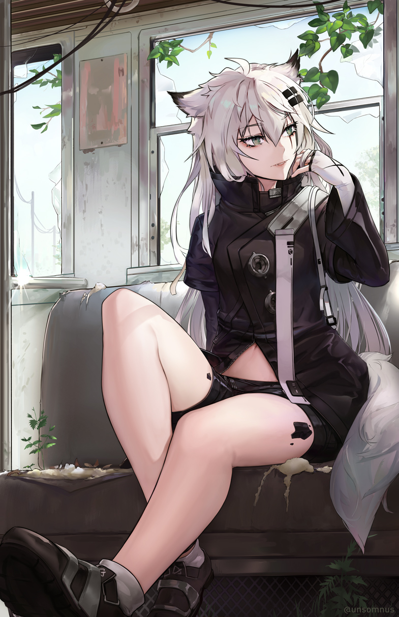 1girl animal_ears arknights bangs bare_legs black_footwear black_jacket black_shorts commentary eyebrows_visible_through_hair fingerless_gloves gloves grey_eyes hair_between_eyes hair_ornament hairclip hand_up highres indoors jacket knee_up lappland_(arknights) leaf long_hair long_sleeves looking_to_the_side navel ore_lesion_(arknights) parted_lips scar scar_across_eye shoes short_shorts shorts silver_hair sitting solo tail thighs unsomnus white_gloves wide_sleeves window wolf_ears wolf_tail