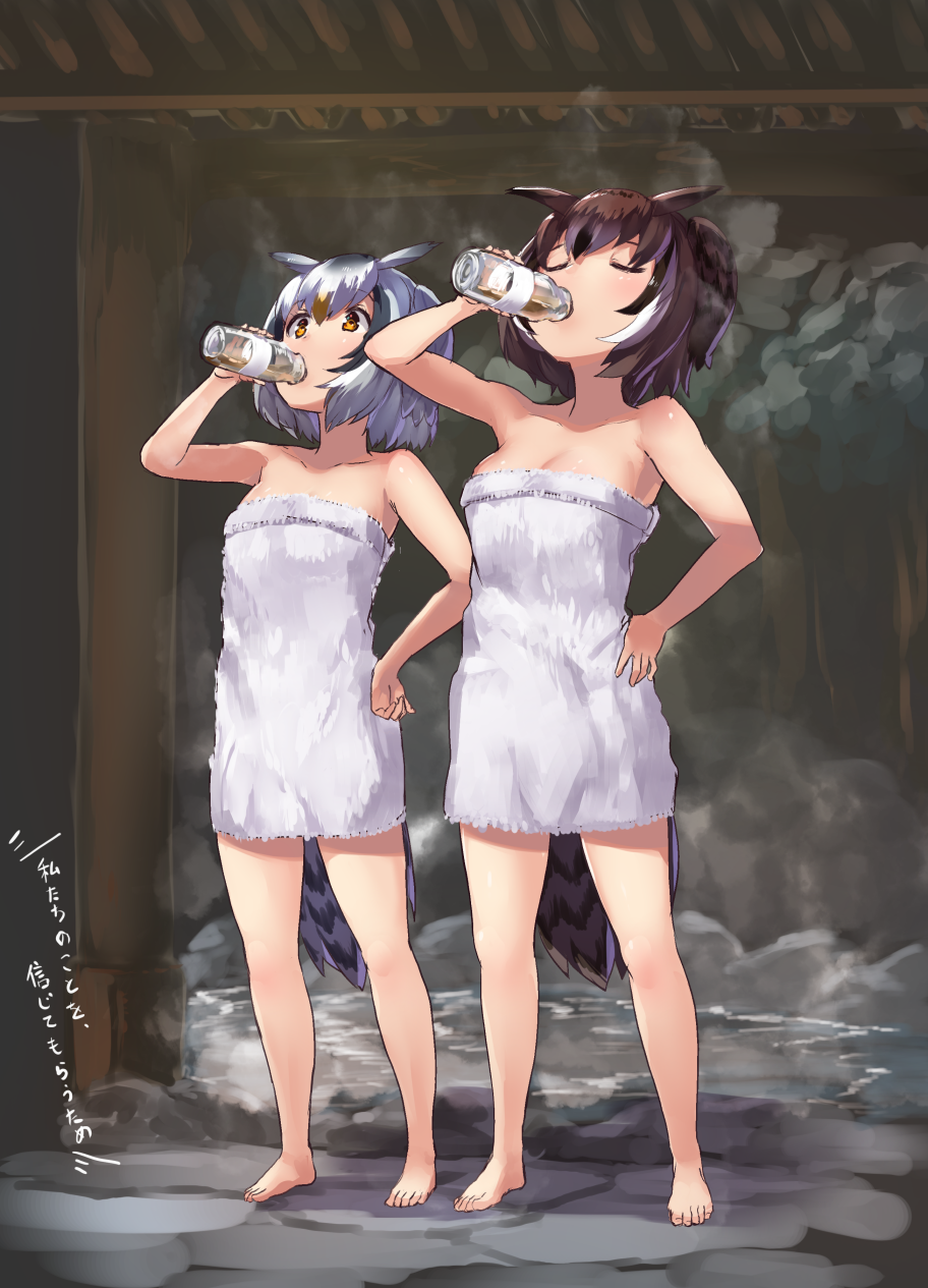 2girls brown_eyes brown_hair drinking eurasian_eagle_owl_(kemono_friends) full_body hair_between_eyes hand_on_hip highres kemono_friends multicolored_hair multiple_girls naked_towel northern_white-faced_owl_(kemono_friends) onsen owl_ears short_hair tadano_magu tail towel white_hair white_towel