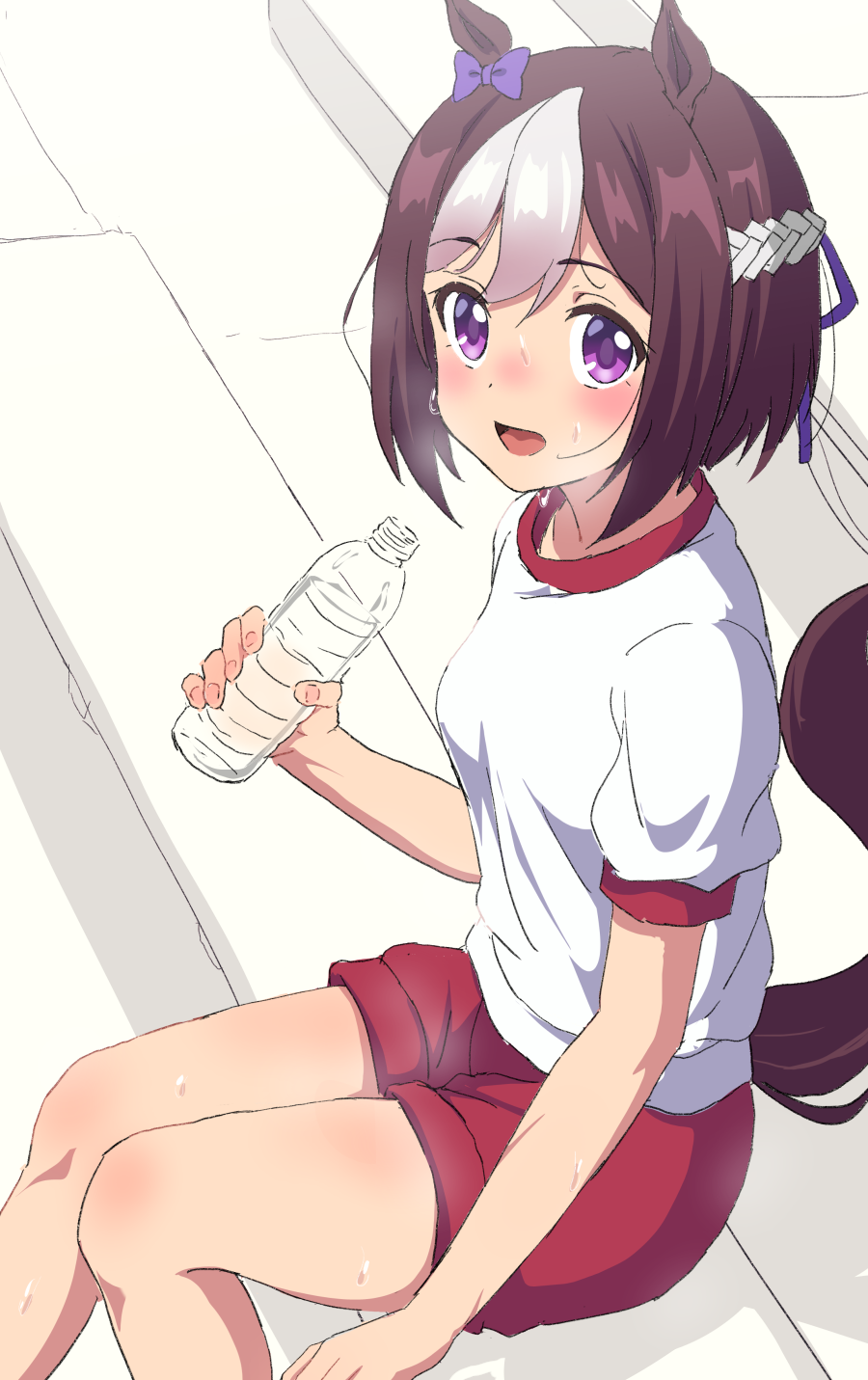1girl :d animal_ears blush bottle bow breasts brown_hair feet_out_of_frame gym_shirt gym_shorts gym_uniform hair_bow hair_ribbon heavy_breathing highres holding holding_bottle horse_ears horse_girl horse_tail looking_at_viewer multicolored_hair open_mouth purple_bow purple_ribbon red_shorts ribbon shirt short_shorts short_sleeves shorts silver_hair small_breasts smile solo special_week streaked_hair sweat tail tail_raised trg-_(sain) umamusume violet_eyes water_bottle white_shirt
