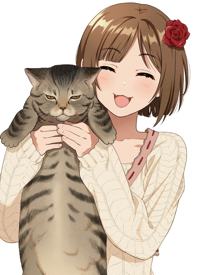 1girl ^_^ animal brown_hair cat closed_eyes commentary_request fangs flower hair_flower hair_ornament happy holding holding_animal holding_cat idolmaster idolmaster_cinderella_girls idolmaster_cinderella_girls_starlight_stage maekawa_miku mattaku_mousuke open_mouth short_hair simple_background sleeves_past_wrists solo sweater unamused upper_body white_background