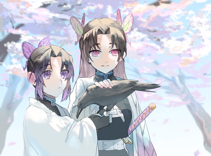 2girls animal_on_arm animal_print belt bird bird_on_arm black_pants black_shirt butterfly_hair_ornament butterfly_print cherry_blossoms commentary_request crow day gradient_hair hair_ornament jacket katana kimetsu_no_yaiba kochou_kanae kochou_shinobu long_hair multicolored_hair multiple_girls outdoors pants pink_eyes pink_nails print_jacket shirt short_hair siblings sidelocks sisters sword tree upper_body violet_eyes weapon white_belt white_jacket