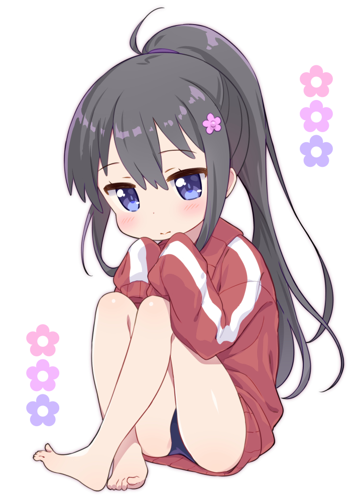 1girl bangs bare_legs barefoot black_hair blue_eyes blue_swimsuit blush closed_mouth commentary_request crossed_ankles eyebrows_visible_through_hair flower full_body hair_between_eyes hair_flower hair_ornament hands_up high_ponytail jacket jigatei_(omijin) knees_up long_hair long_sleeves looking_at_viewer pink_flower pointy_ears ponytail purple_background red_jacket shirosaki_hana simple_background sitting sleeves_past_fingers sleeves_past_wrists solo swimsuit swimsuit_under_clothes track_jacket very_long_hair watashi_ni_tenshi_ga_maiorita! white_background