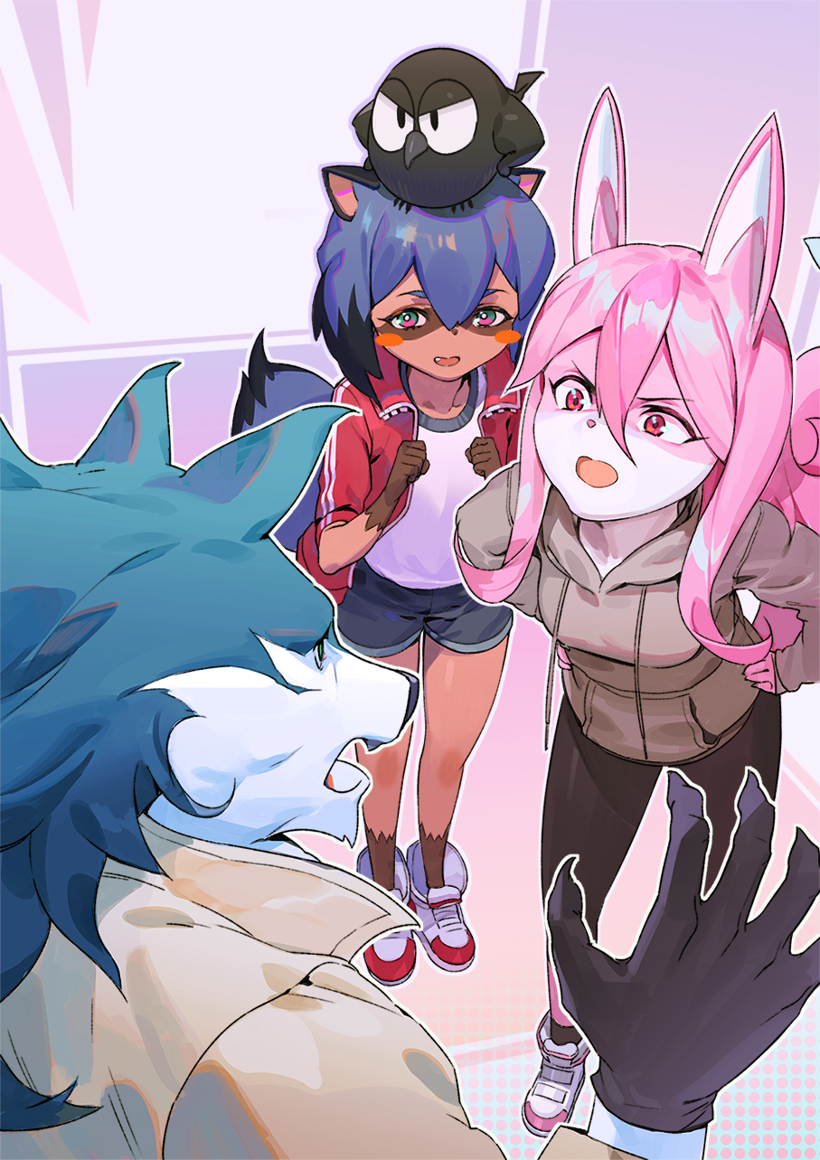 1boy 2girls animal_ears bangs beige_coat bird black_hair black_legwear blue_hair brand_new_animal brown_fur coat collarbone commentary fang fangs fingernails from_behind furry hair_between_eyes hands_on_hips hands_up highres hiwatashi_nazuna hood hoodie jacket kagemori_michiru kyma_curry leaning_forward long_hair long_sleeves looking_at_another multicolored_hair multiple_girls open_clothes open_jacket open_mouth pantyhose pink_fur pink_hair raccoon_ears raccoon_girl raccoon_tail red_eyes red_footwear red_jacket sharp_fingernails shirt shoes short_hair short_shorts short_sleeves shorts sneakers tail track_jacket white_footwear white_shirt wolf_boy