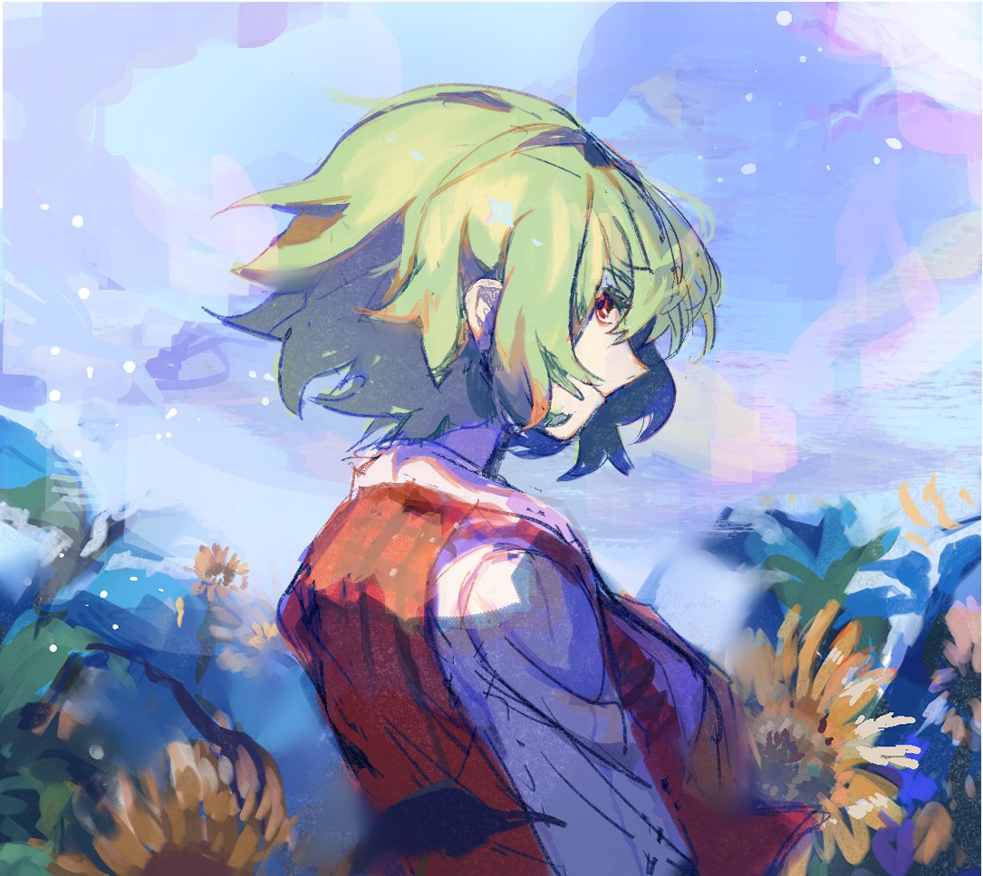 1girl closed_mouth clouds cloudy_sky day flower green_hair kazami_yuuka kusariuta long_sleeves looking_back plaid plaid_vest profile red_eyes red_vest shirt short_hair sky sunflower sunlight touhou upper_body vest white_shirt yellow_flower