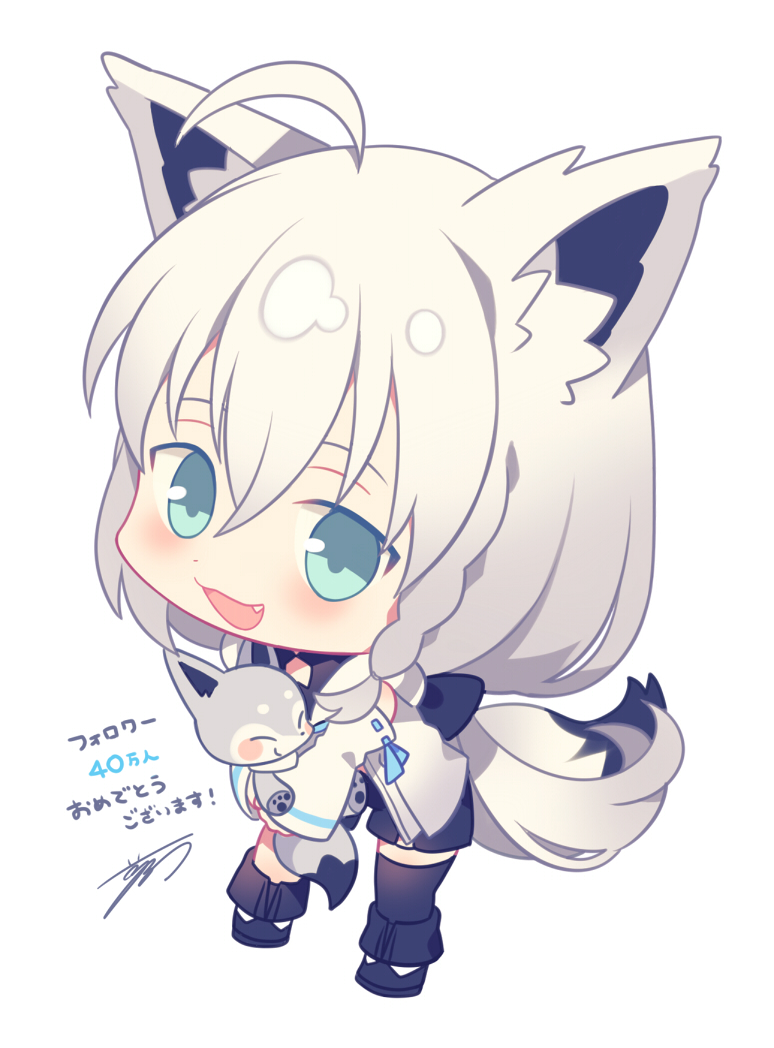 :d ahoge animal animal_ear_fluff animal_ears aqua_eyes asymmetrical_legwear braid chibi commentary_request detached_sleeves fang fox fox_ears fox_girl fox_tail full_body holding holding_animal hololive leaning_forward long_hair looking_at_viewer open_mouth ponytail shirakami_fubuki shorts side_braid simple_background smile standing tail virtual_youtuber white_background white_hair yumenouchi_chiharu