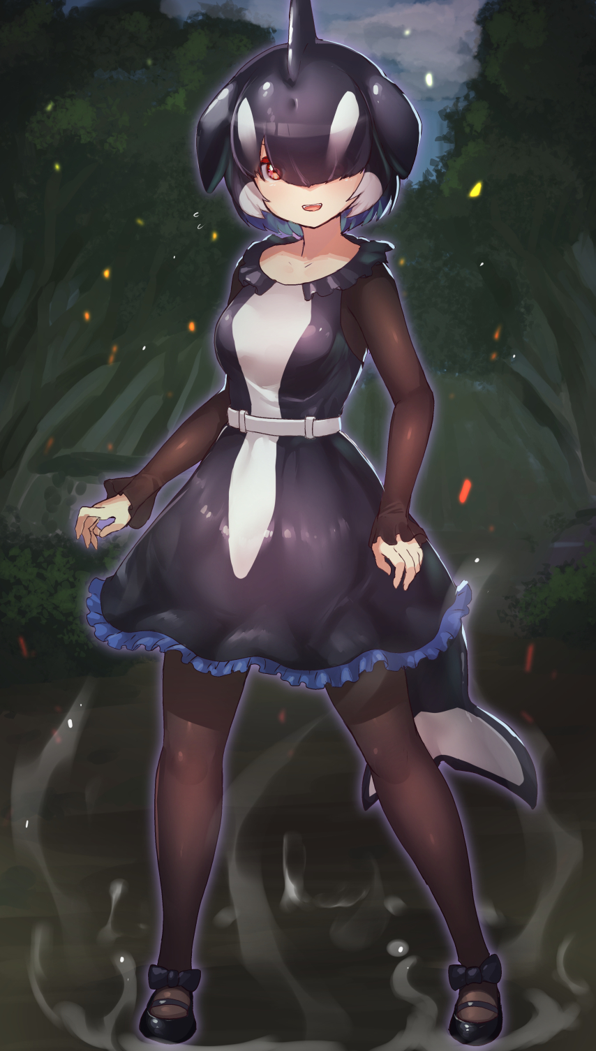 1girl bangs belt black_dress black_footwear black_hair black_legwear black_sleeves blowhole blue_dress bow collar commentary_request dorsal_fin dress frilled_collar frilled_dress frilled_sleeves frills glowing glowing_eye hair_over_one_eye highres kemono_friends kemono_friends_3 long_sleeves multicolored multicolored_clothes orca_(kemono_friends) orca_girl orca_tail pantyhose red_eyes shoe_bow shoes short_hair solo steaming_body tadano_magu tail white_dress white_hair