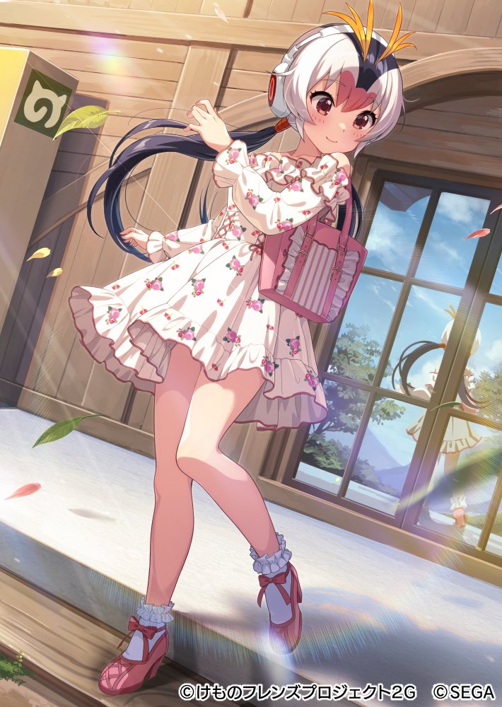 1girl alternate_costume bag bare_shoulders black_hair blonde_hair blush bow collar commentary_request dress eyebrows_visible_through_hair floral_print frilled_collar frilled_dress frilled_legwear frilled_sleeves frills hair_between_eyes handbag headphones high_heels joey_koguma kemono_friends kemono_friends_3 long_hair long_sleeves multicolored_hair official_art orange_eyes penguin_girl pink_bow pink_footwear pink_hair pleated_dress print_dress puffy_sleeves reflection royal_penguin_(kemono_friends) shoe_bow shoes smile socks solo standing standing_on_one_leg twintails white_hair white_legwear