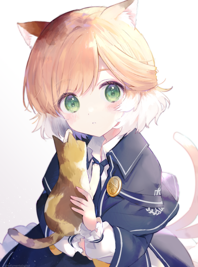 1girl animal animal_ears arknights bangs black_jacket blush cat cat_ears cat_tail commentary_request expressionless eyebrows_visible_through_hair green_eyes hair_between_eyes holding holding_animal holding_cat jacket long_sleeves looking_at_viewer mousse_(arknights) multiple_tails no_gloves no_hat no_headwear orange_hair short_hair skirt tail toufu_mentaru_zabuton upper_body white_background