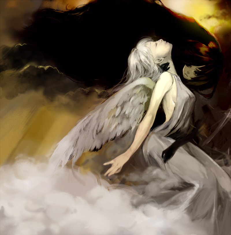 black_hair cloud clouds dark_vs_light deri original white_hair wings